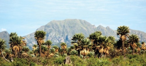 Volcanes de Pocho: las otras montañas cordobesas